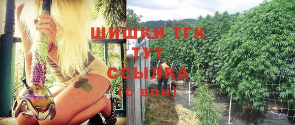 таблы Пересвет