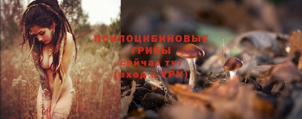 таблы Пересвет