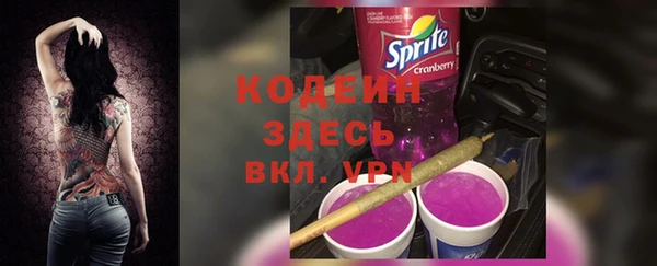 индика Переславль-Залесский