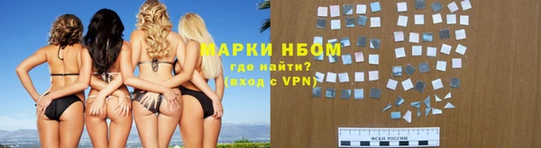 индика Переславль-Залесский