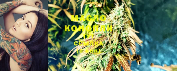индика Переславль-Залесский