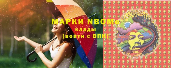 индика Переславль-Залесский