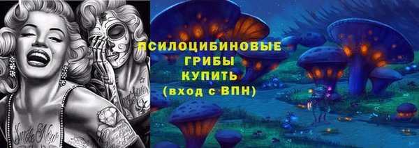 индика Переславль-Залесский