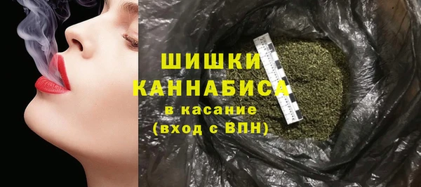 индика Переславль-Залесский