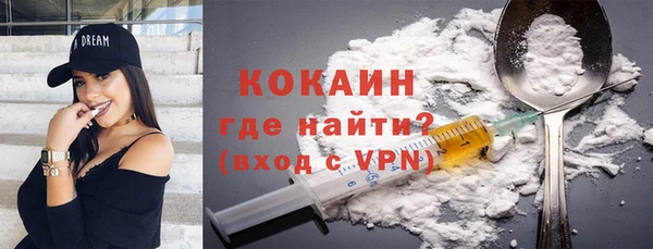 индика Переславль-Залесский