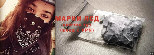 индика Переславль-Залесский